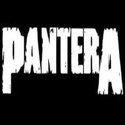 Pantera