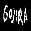 Gojira